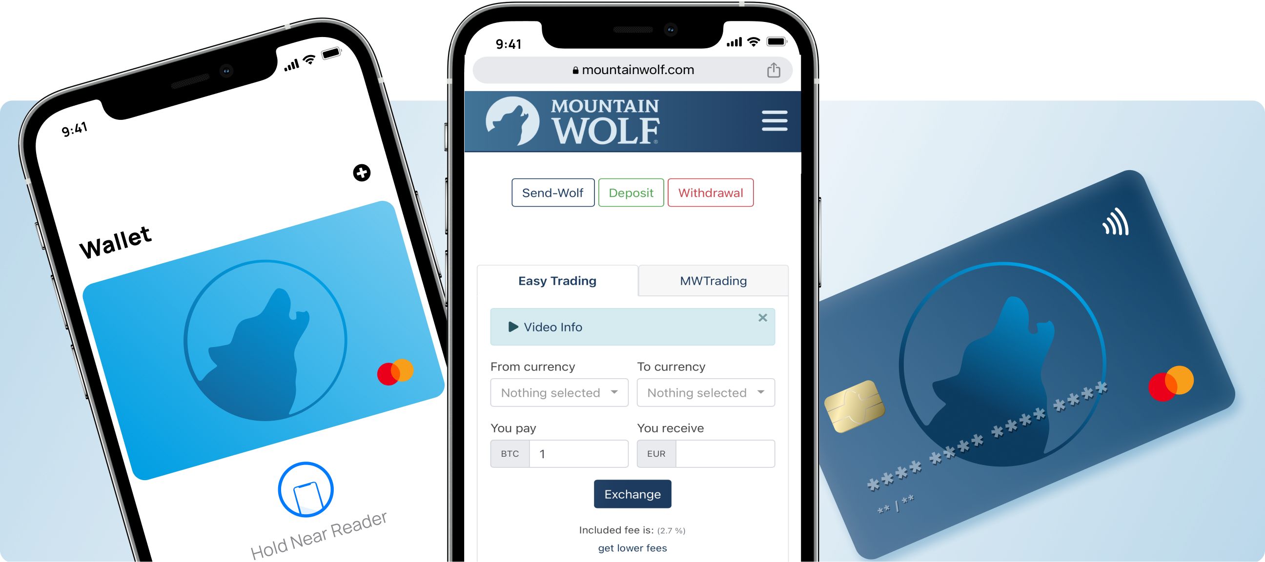 Digital Payments Graphic Mountain Wolf